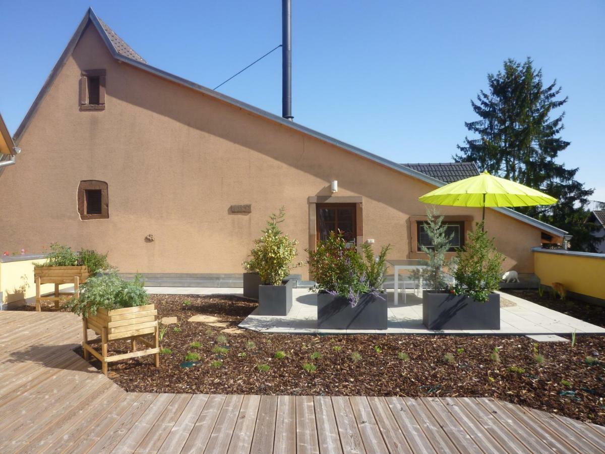La Tete Au Soleil Apartment Soultzmatt Ngoại thất bức ảnh