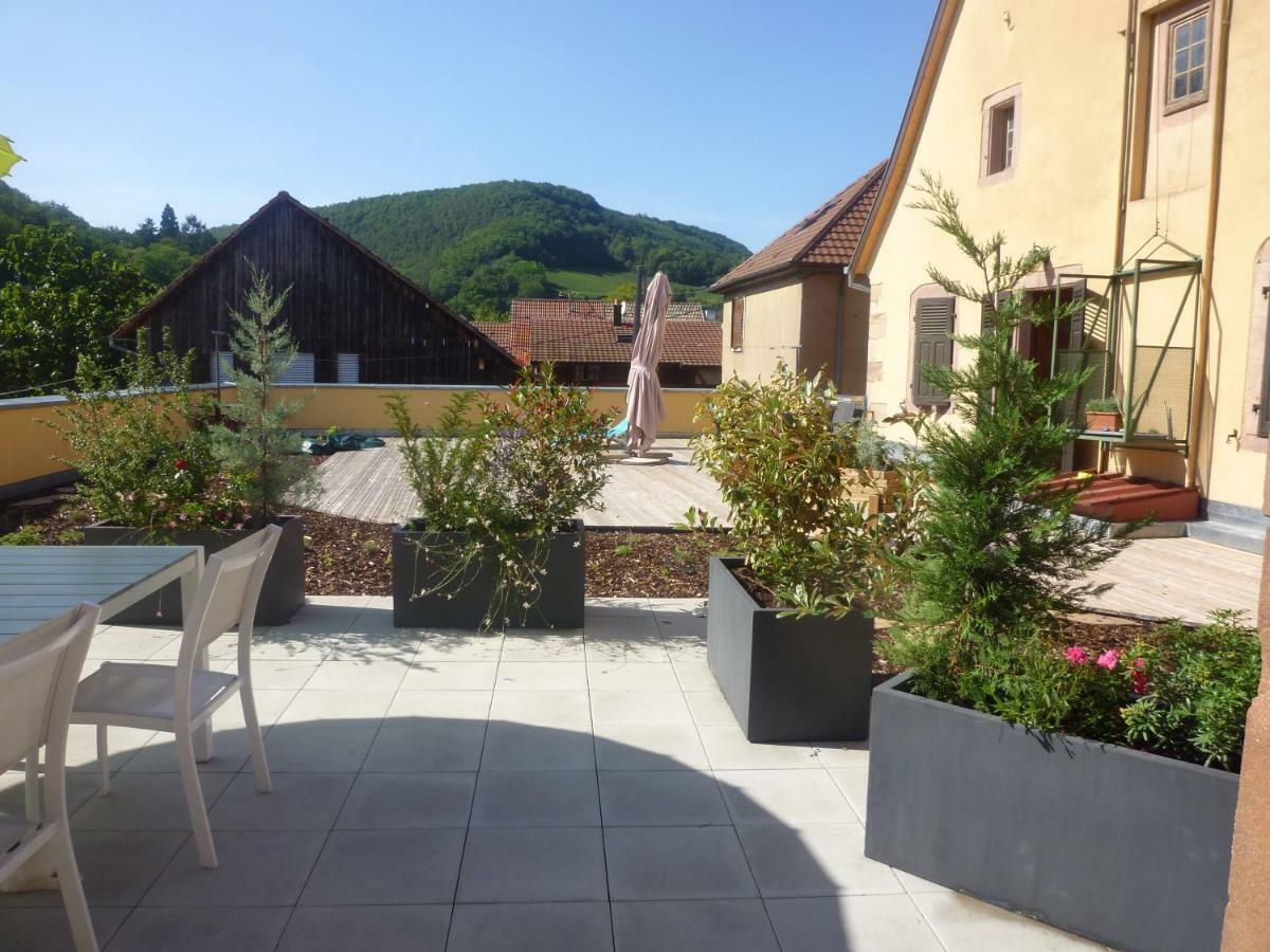 La Tete Au Soleil Apartment Soultzmatt Ngoại thất bức ảnh